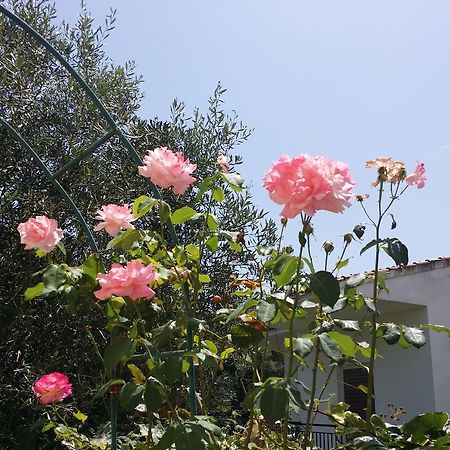 Villa Helena Kavos Bagian luar foto