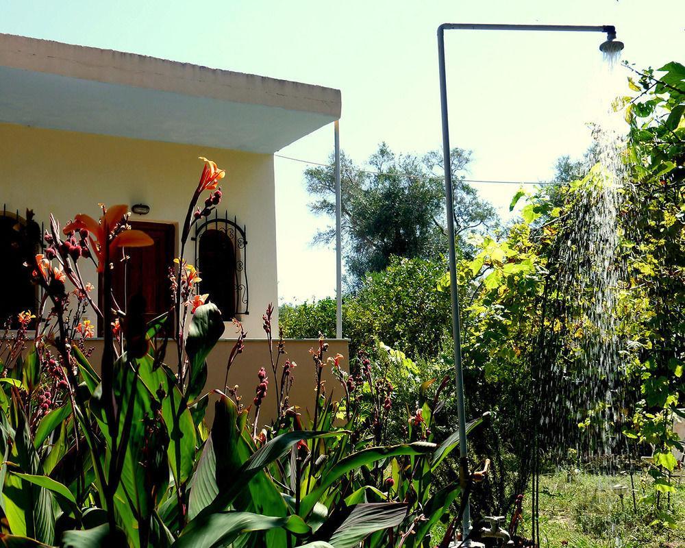 Villa Helena Kavos Bagian luar foto