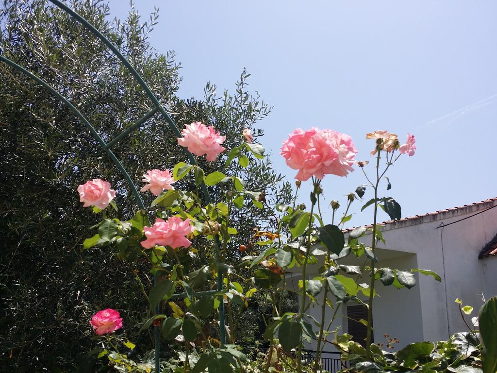 Villa Helena Kavos Bagian luar foto