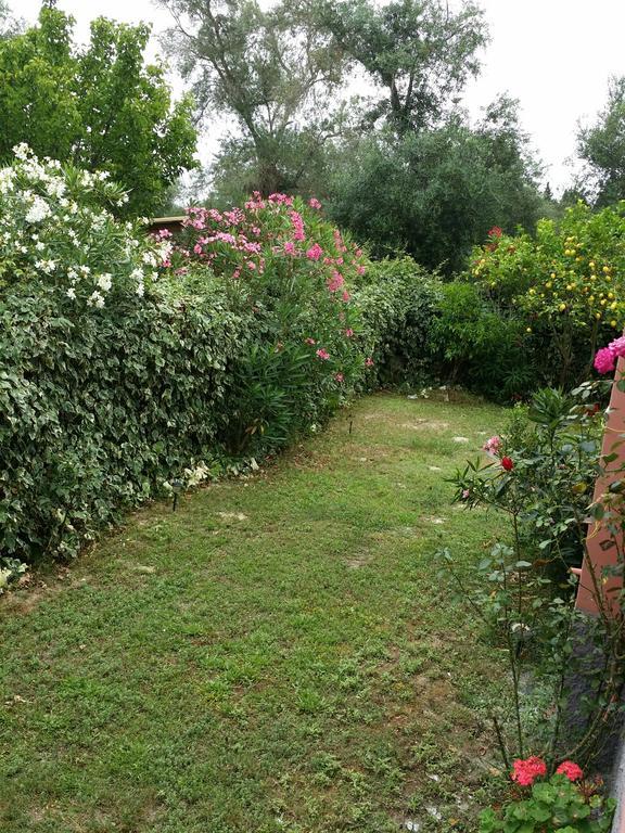 Villa Helena Kavos Bagian luar foto