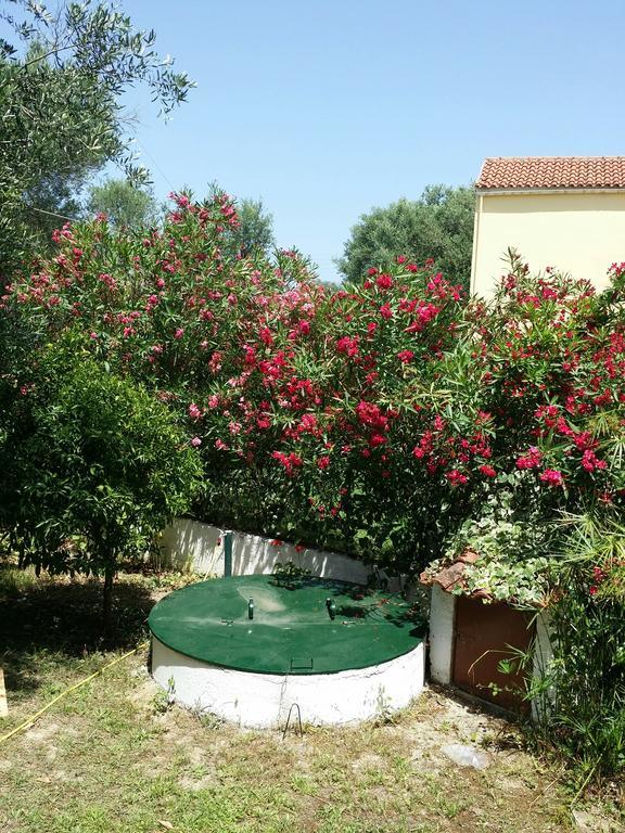 Villa Helena Kavos Bagian luar foto